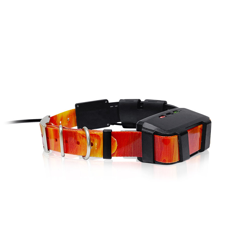 Outdoor Hunting Dogs - 2023 Trending Product Outdoor Hunting Gear