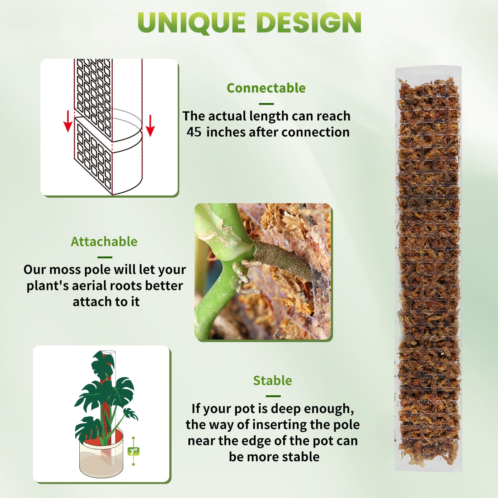 24/36/48Inch Climbing Plant Wa – Tree Stand Ladder Bewertung und Preis
