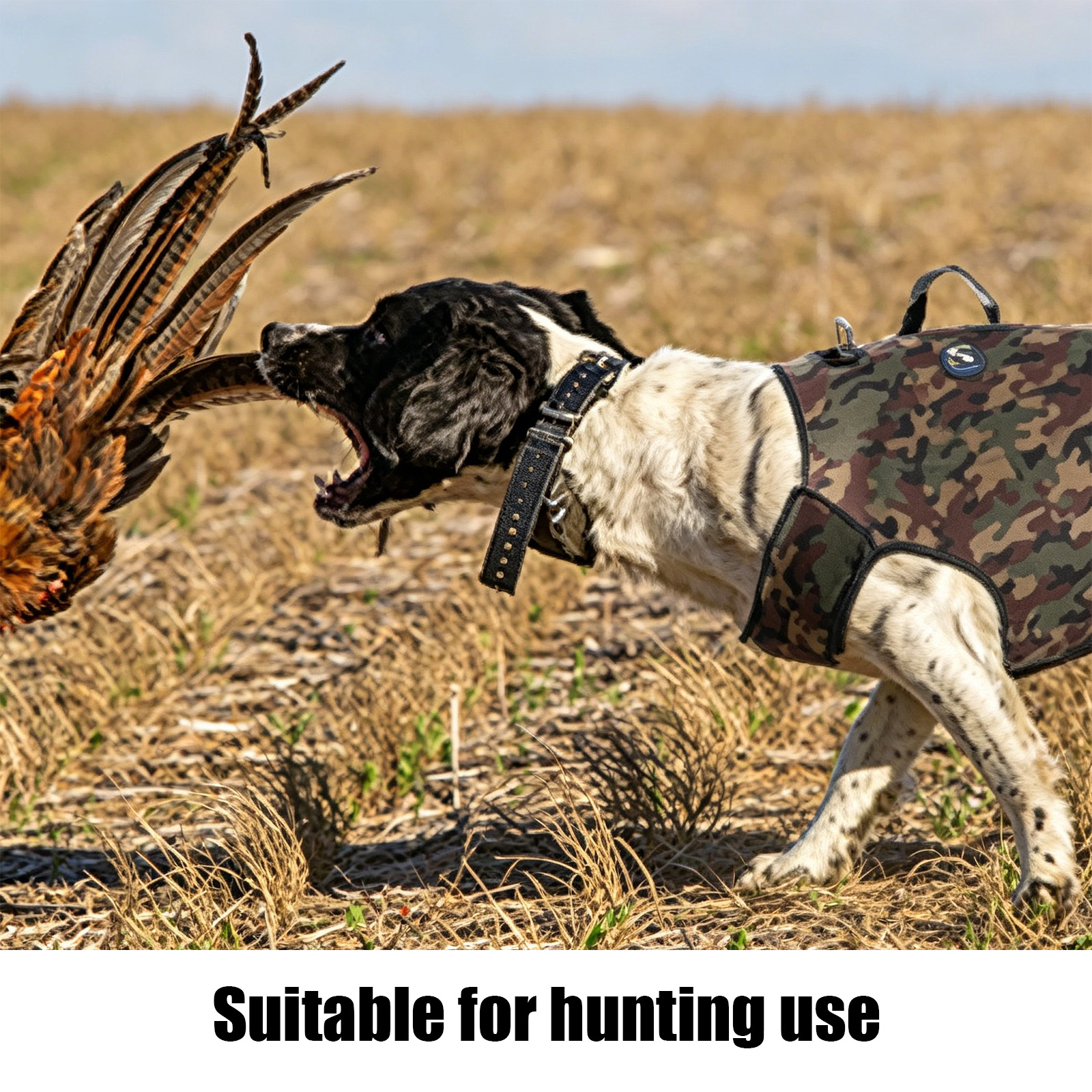 Camouflage Hunting Dog Clothes – Outdoor Hunting Dogs Bewertung und Preis