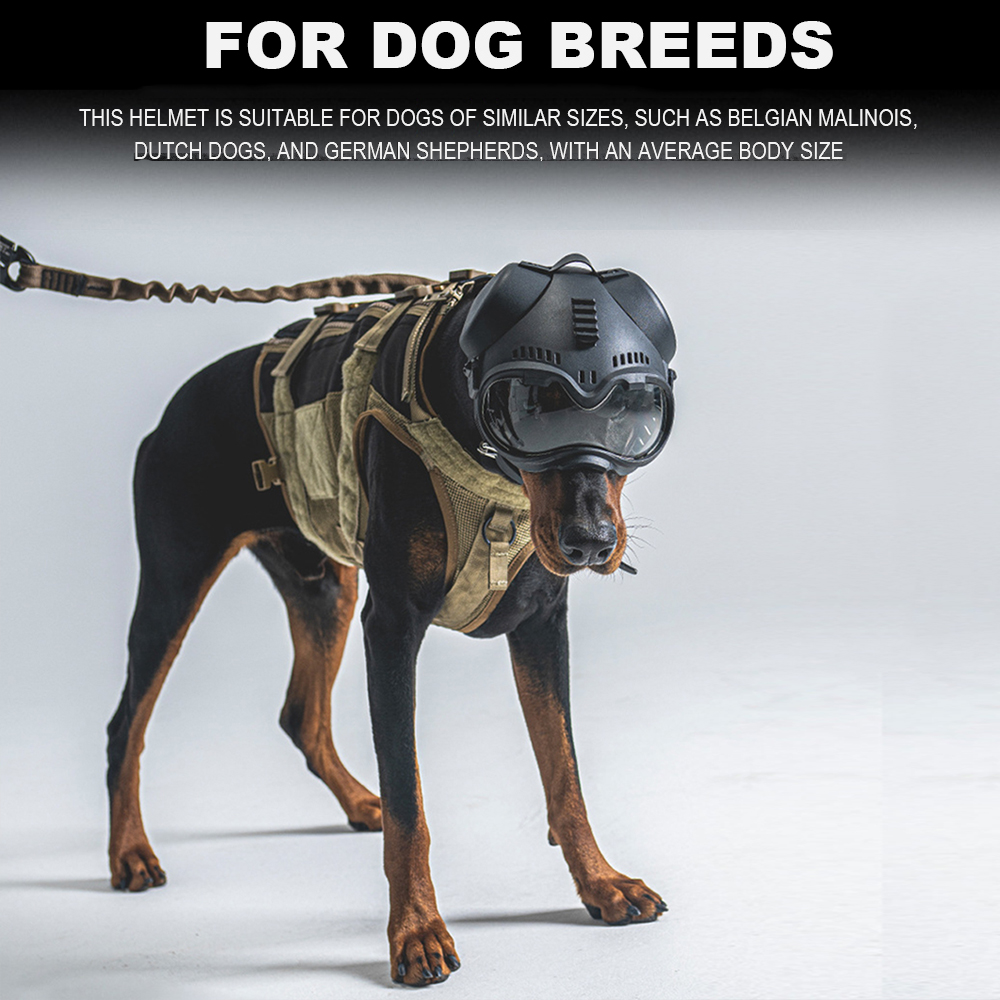 Tactical Dog Helmet K9 Protect – Outdoor Hunting Dogs Bewertung und Preis
