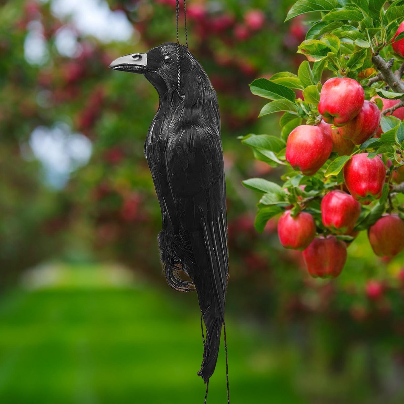 Halloween Crow Decorations Gar – Hunting Outdoor Decor Bewertung und Preis