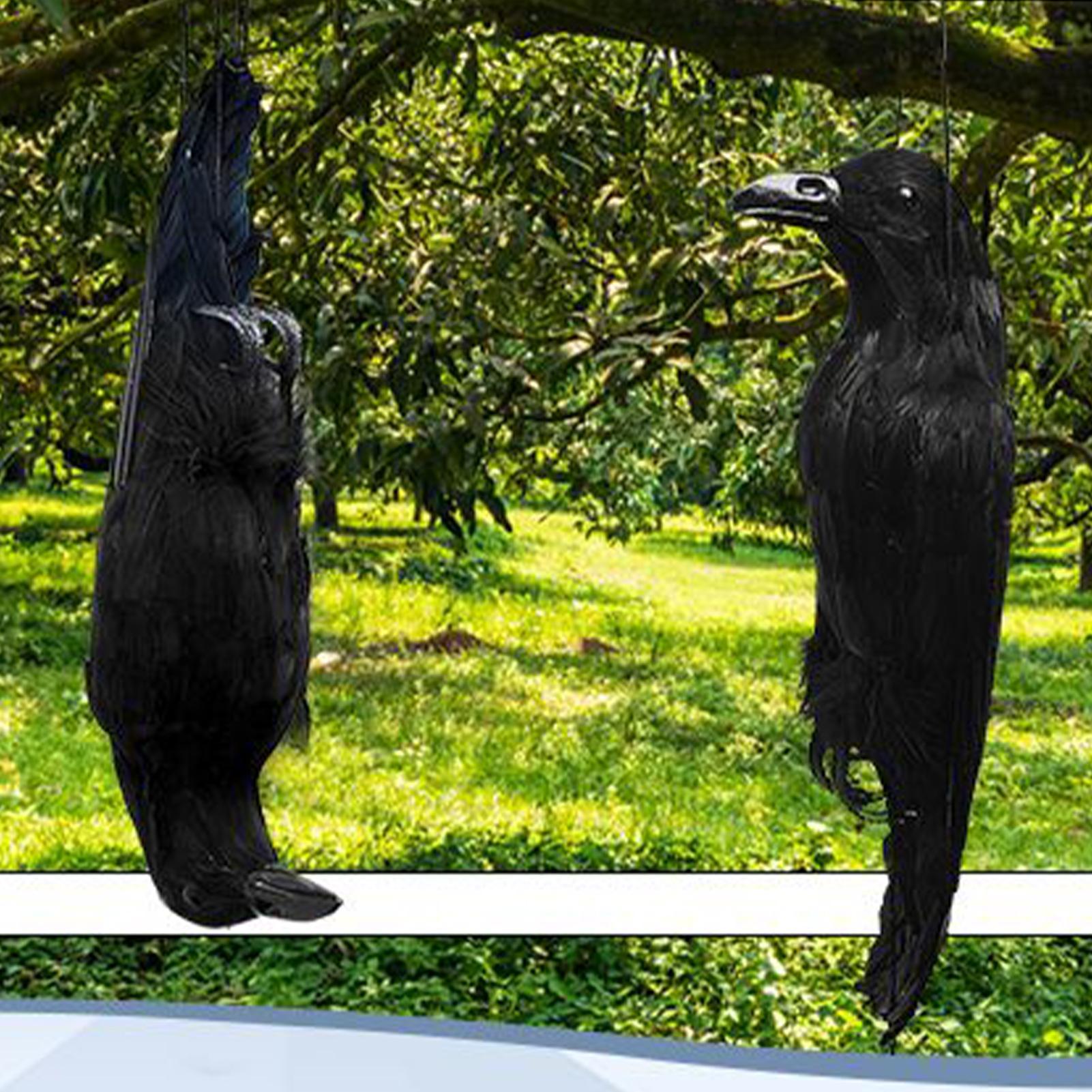 Halloween Crow Decorations Gar – Hunting Outdoor Decor Bewertung und Preis