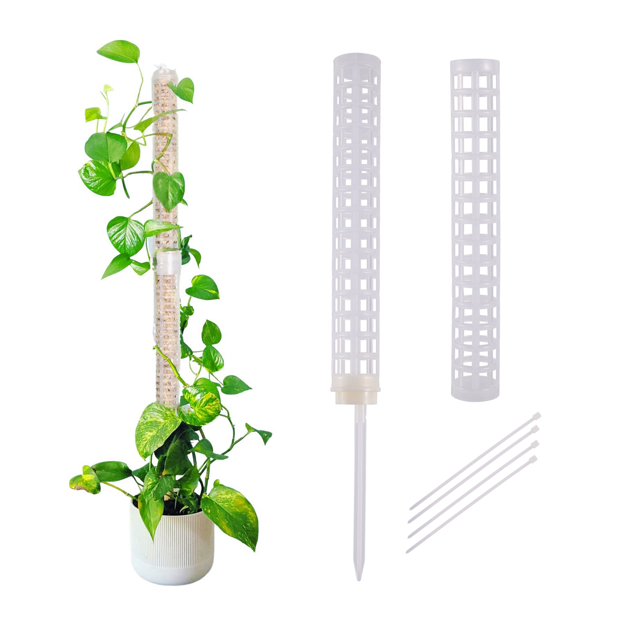 Plant Climbing Column Sphagnum – Tree Stand Ladder Bewertung und Preis