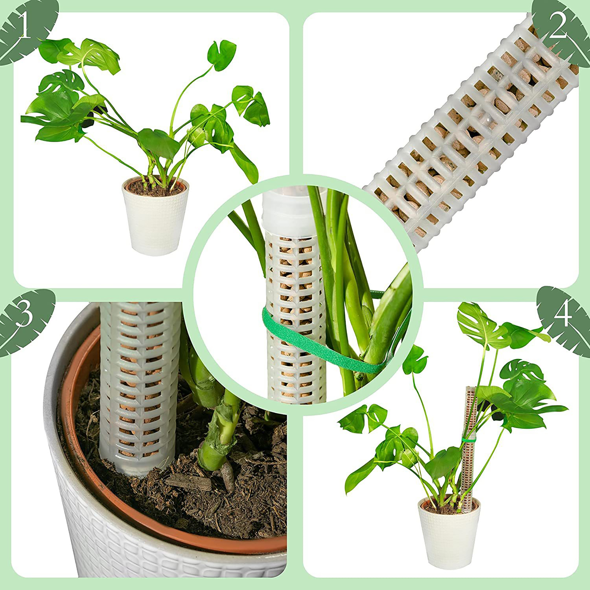 Plant Climbing Column Sphagnum – Tree Stand Ladder Bewertung und Preis