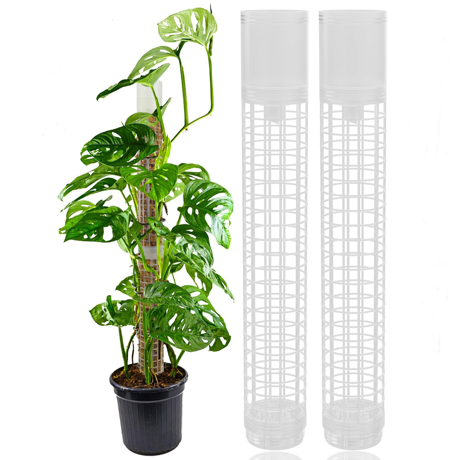 Self-watering Moss Pole Plasti – Tree Stand Ladder Bewertung und Preis