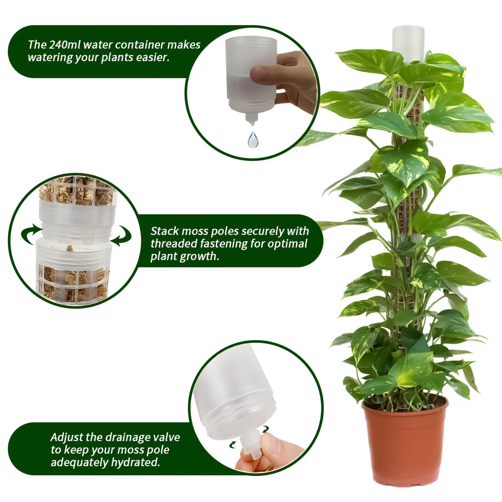 Self-watering Moss Pole Plasti – Tree Stand Ladder Bewertung und Preis