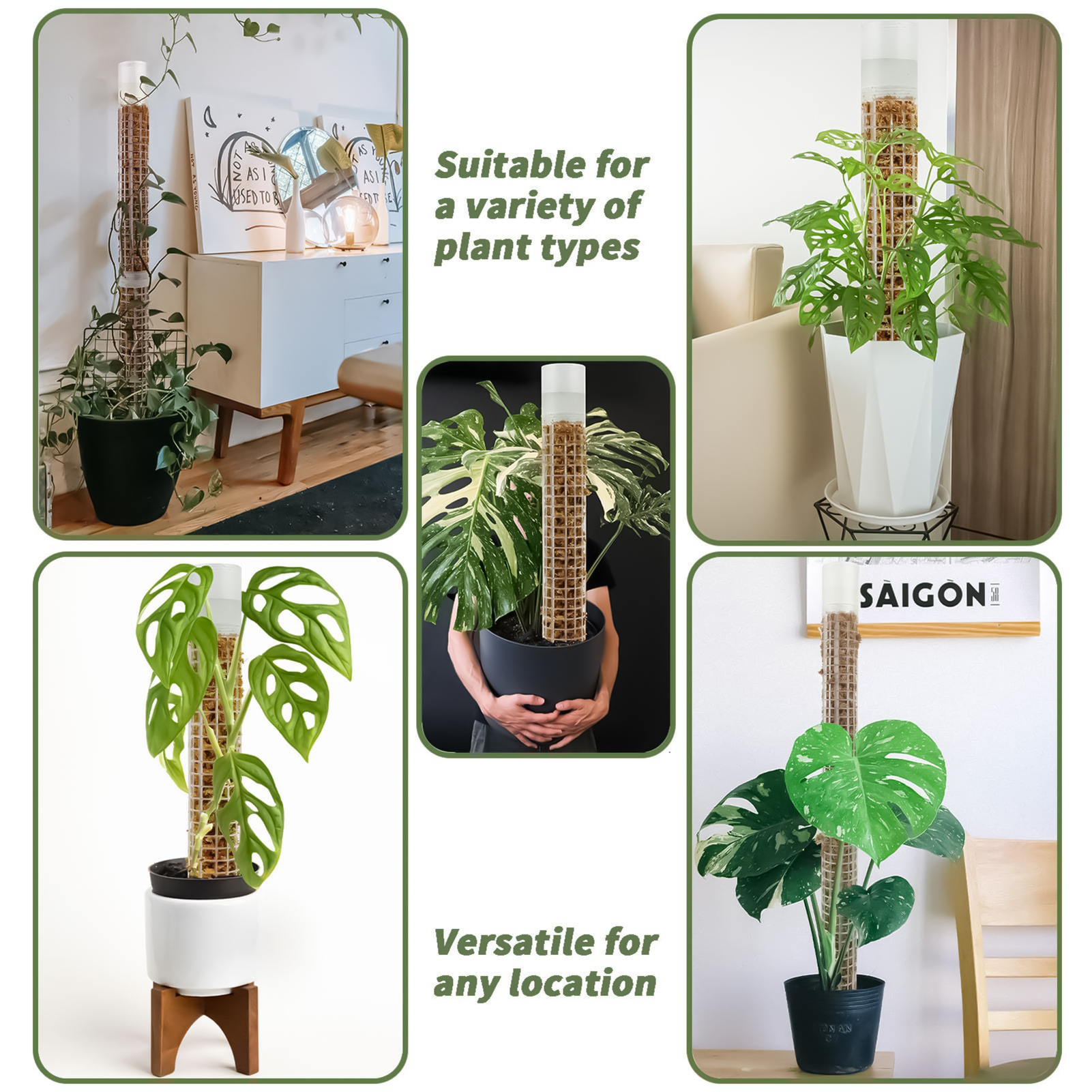 Self-watering Moss Pole Plasti – Tree Stand Ladder Bewertung und Preis