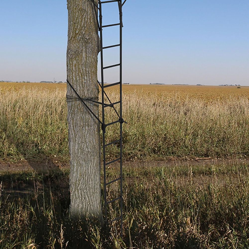 Portable 2-Person Hunting Tree – Tree Stand Ladder Bewertung und Preis
